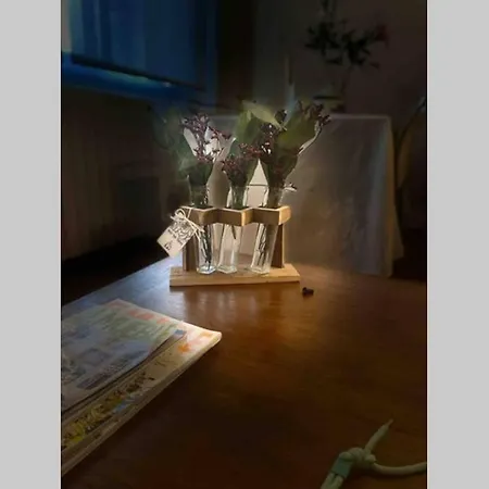 Apartamento Centro Historico سرقسطة